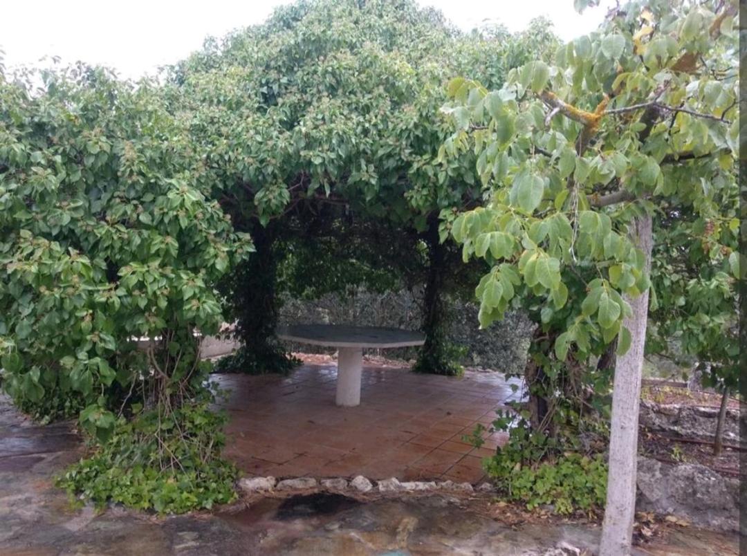Increíble Casa Rural en la Sierra de Altomira Piscina privada y Barbacoa