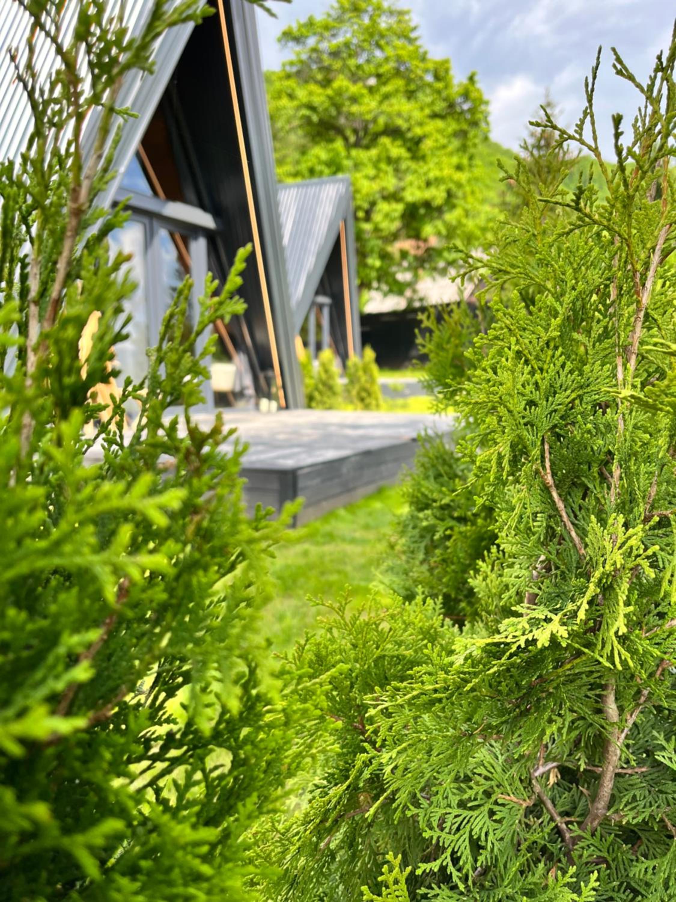 Loon Moon Mountain Chalets