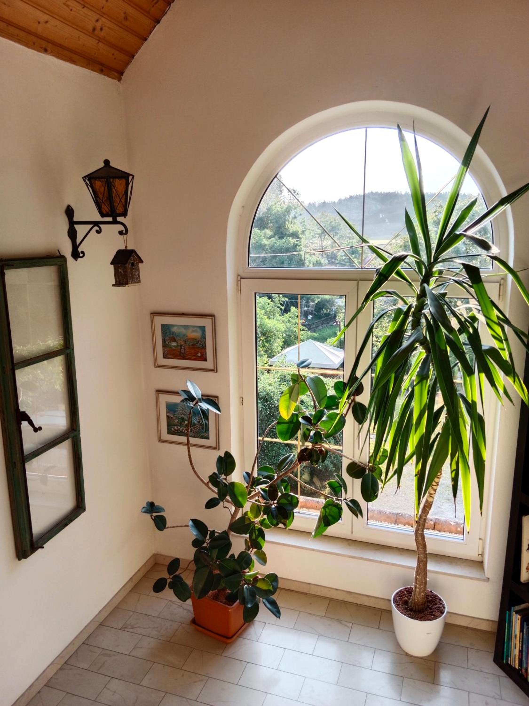 Appartement Landhaus Felsenkeller