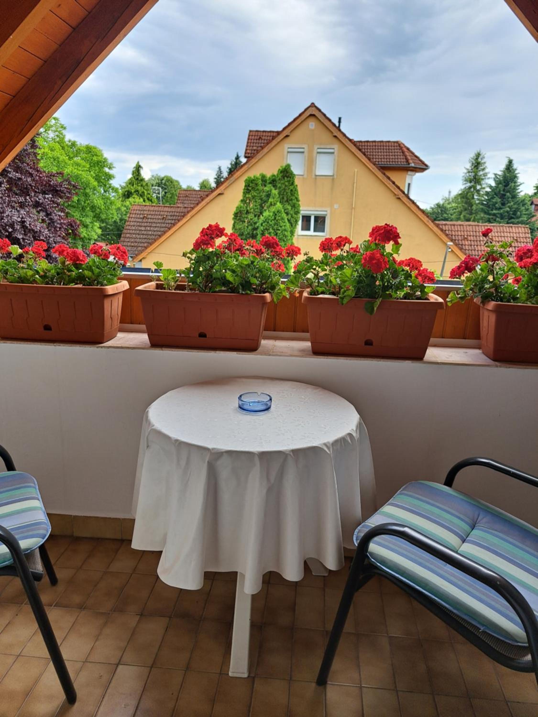 EMMA Apartman Harkány view 2