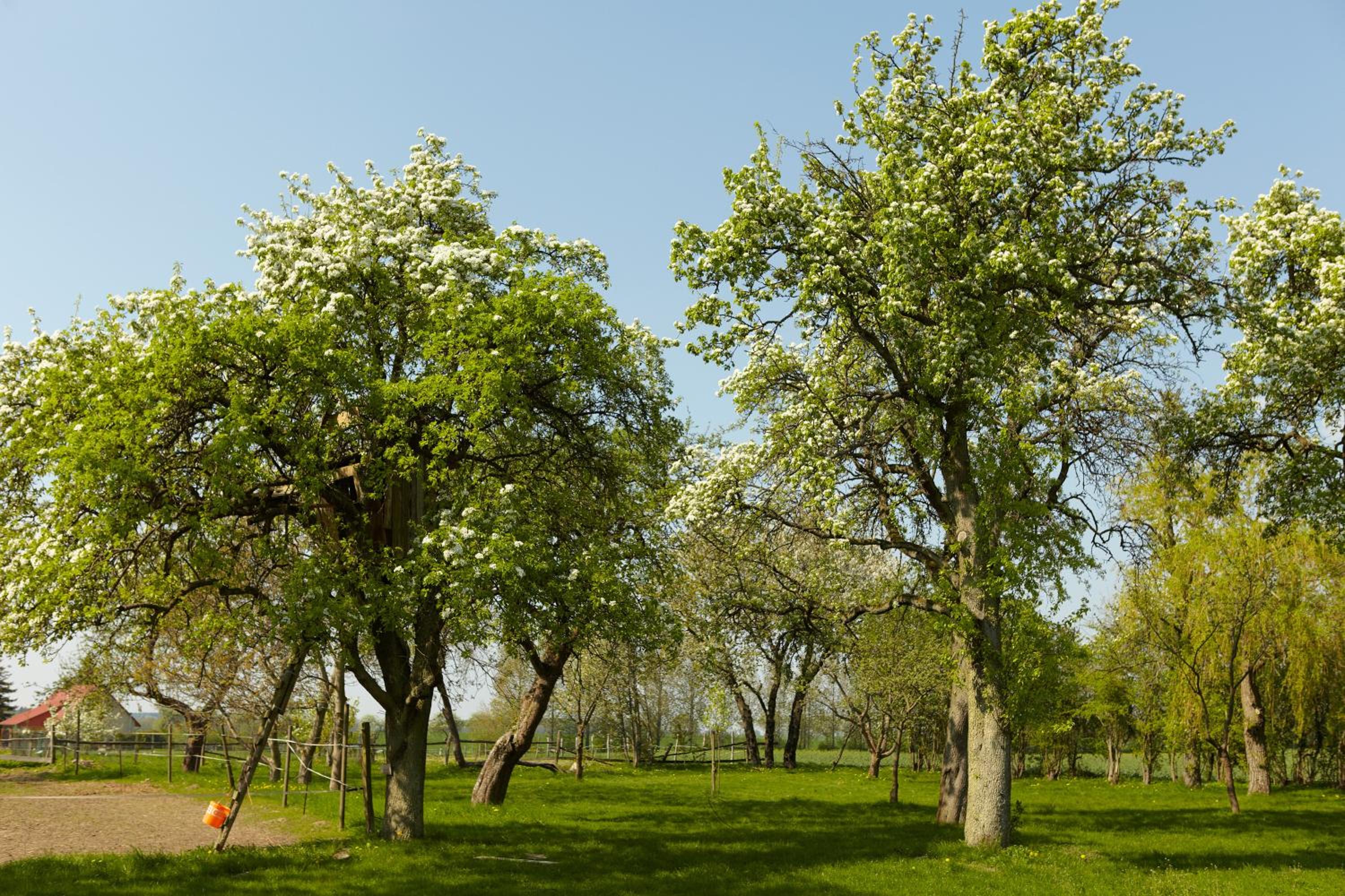 Gutshaus Lexow - zwischen Malchow, Waren-Müritz nahe Mecklenburgische Seenplatte