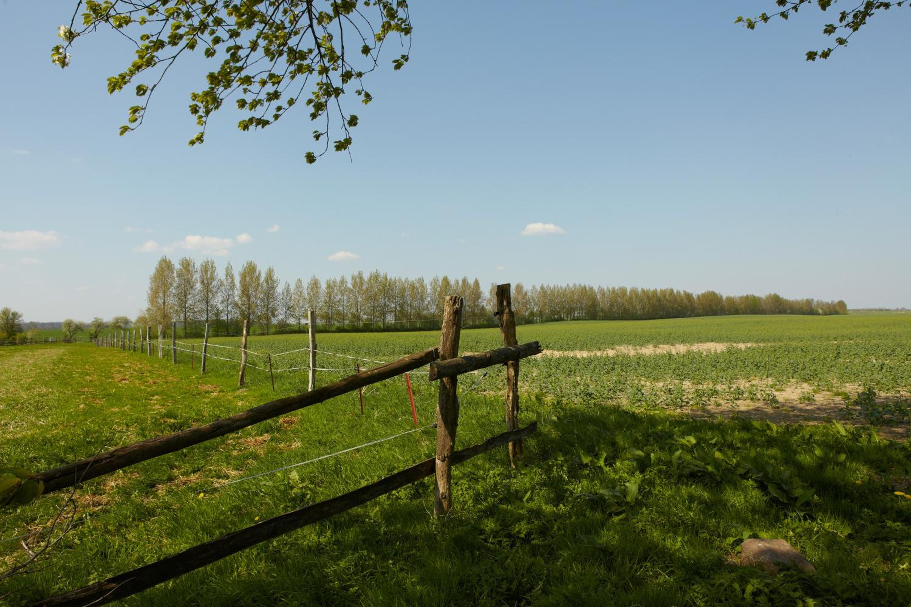Gutshaus Lexow - zwischen Malchow, Waren-Müritz nahe Mecklenburgische Seenplatte