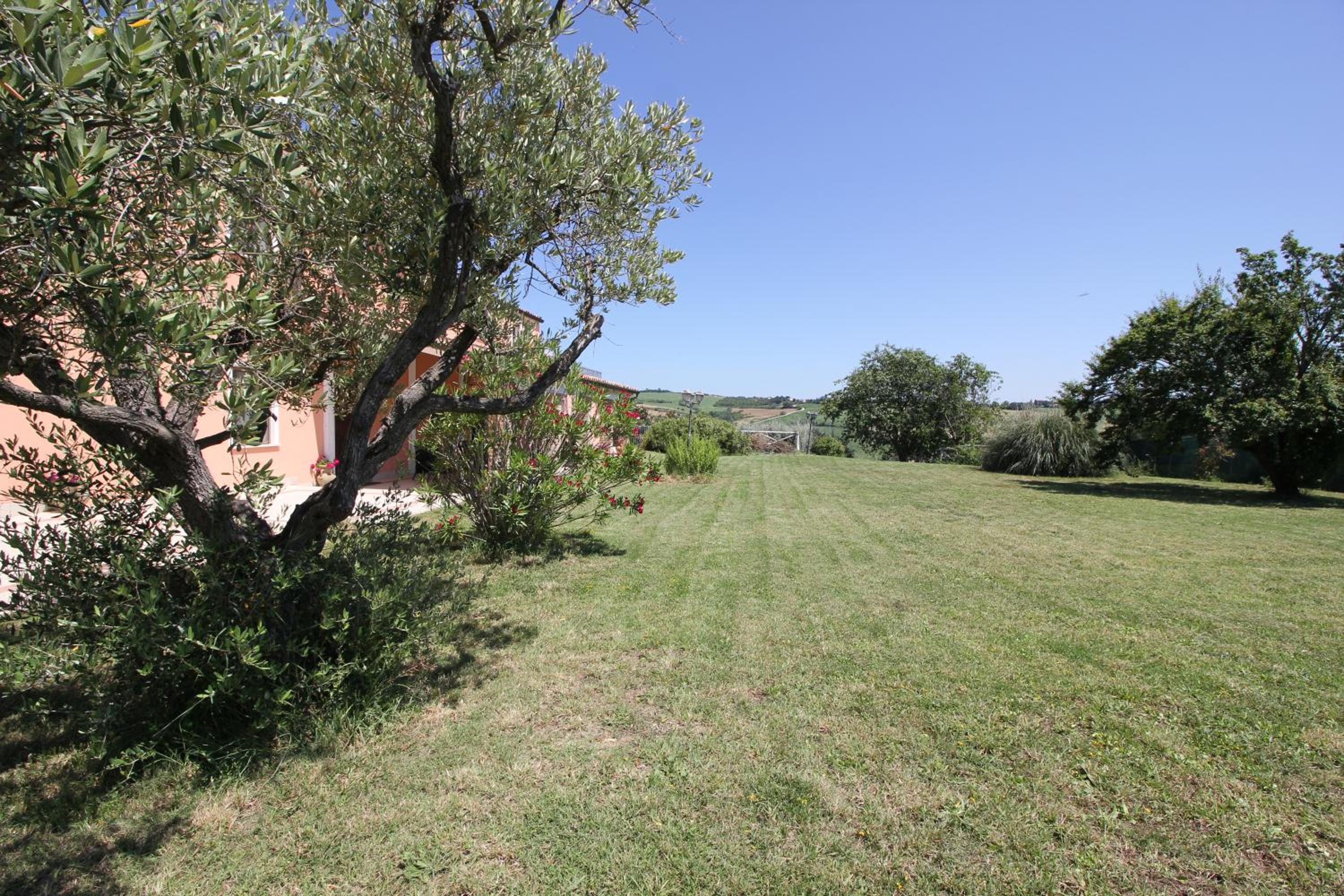 Photo 41