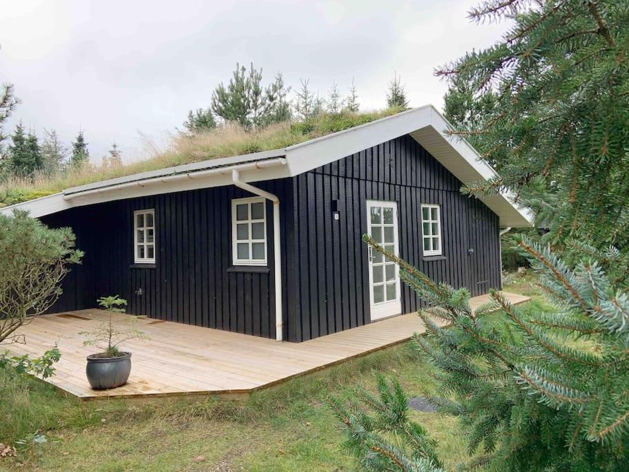Cozy child-friendly house