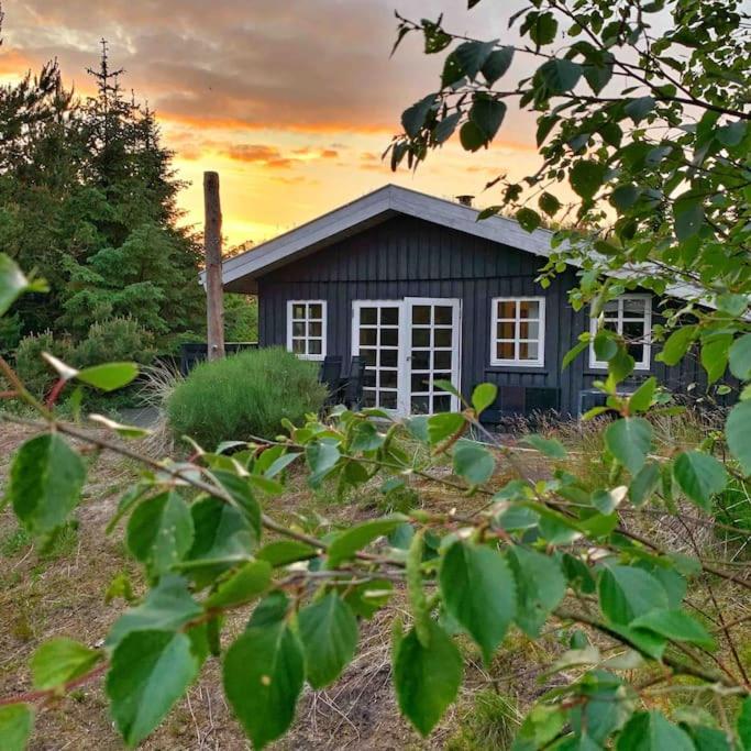 Cozy child-friendly house