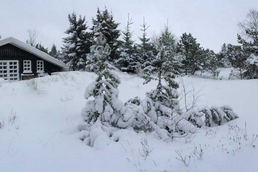 Cozy child-friendly house