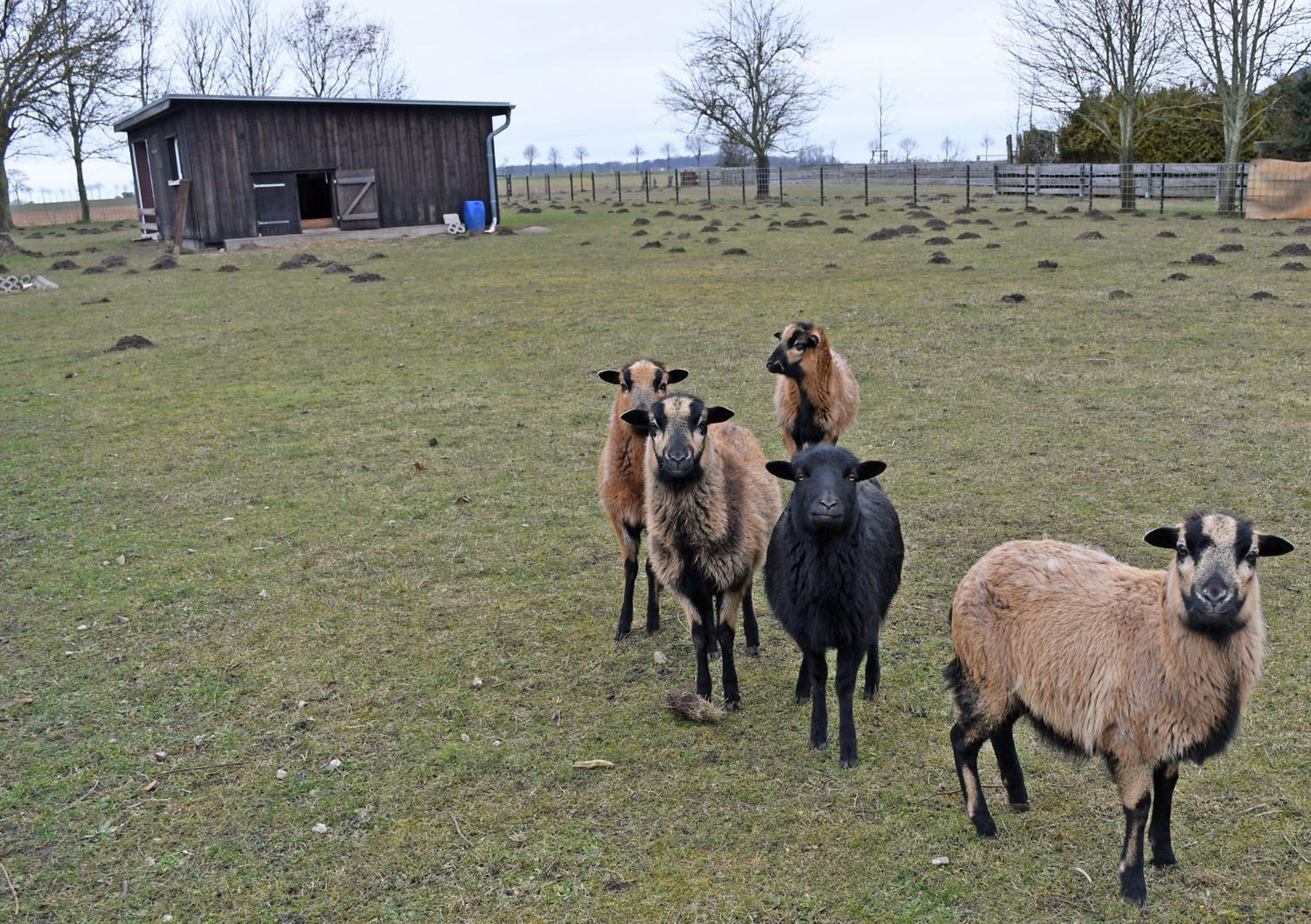 Ferienwohnungen Udars auf Rügen