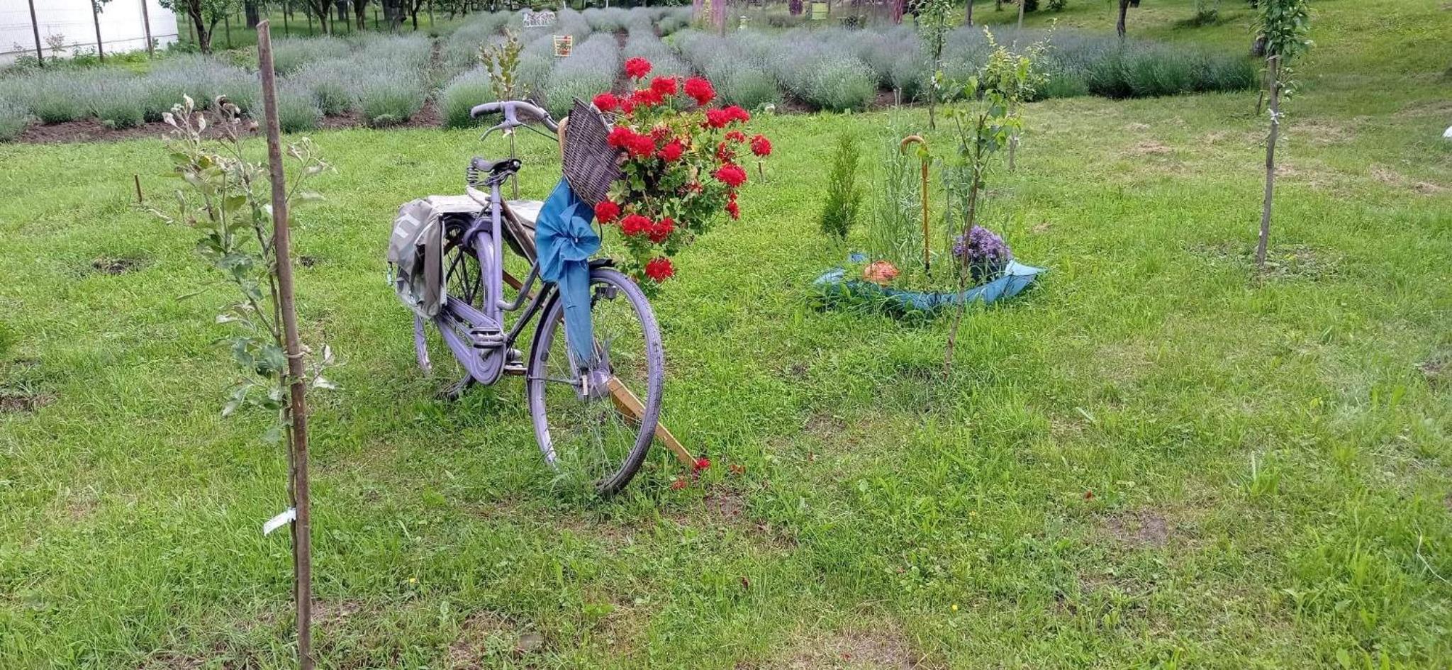 Casa rurală cu livadă LavAndra