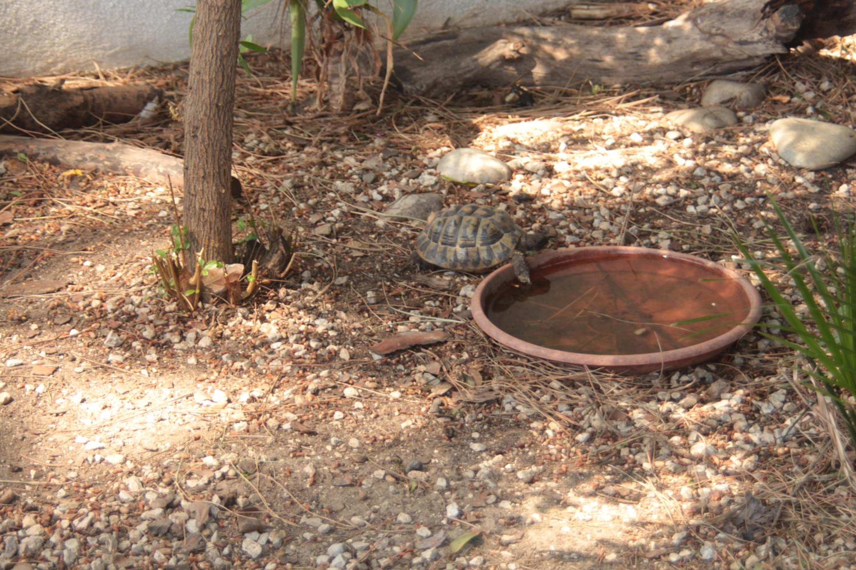 Photo 23