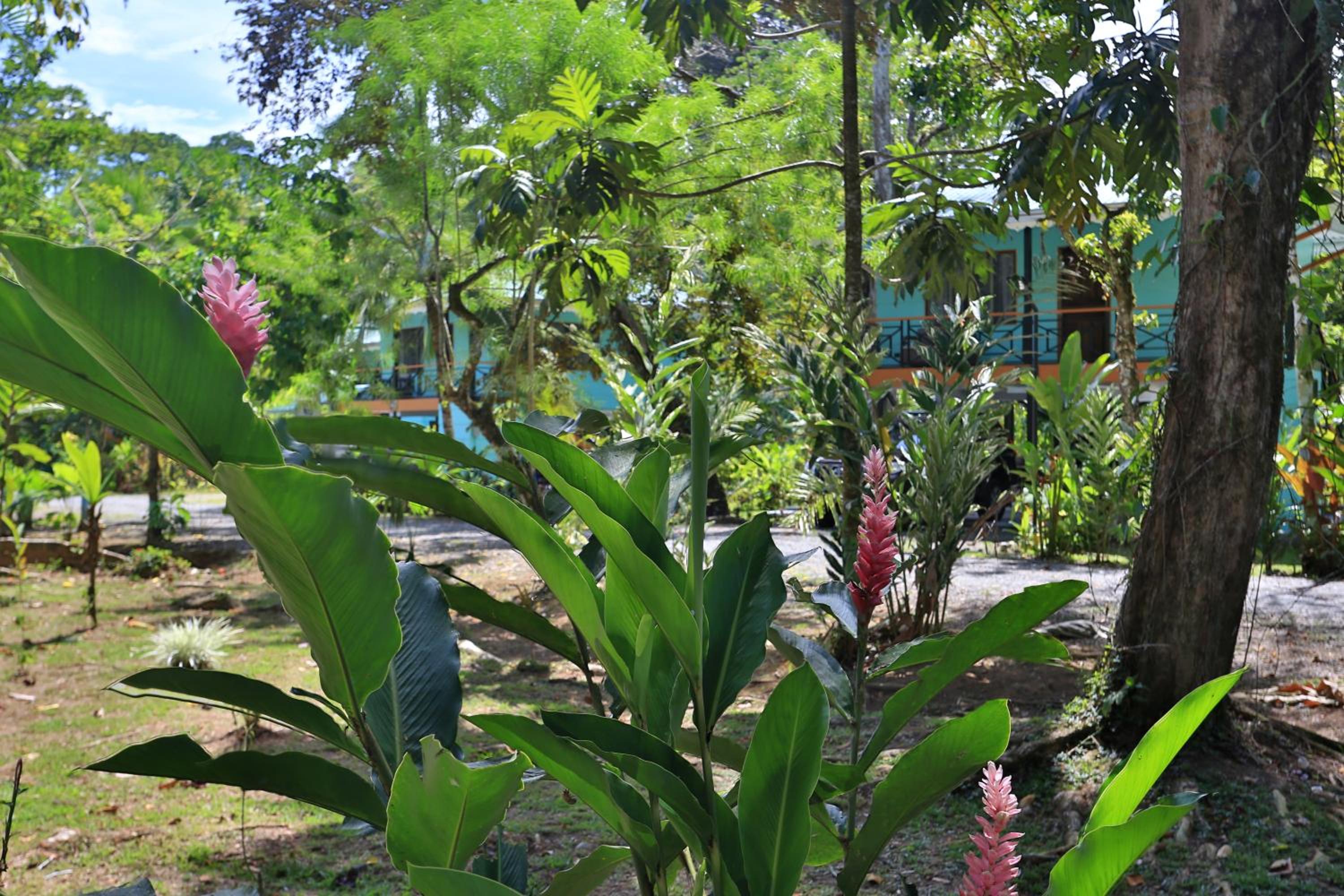 Manzanillo Caribbean Resort