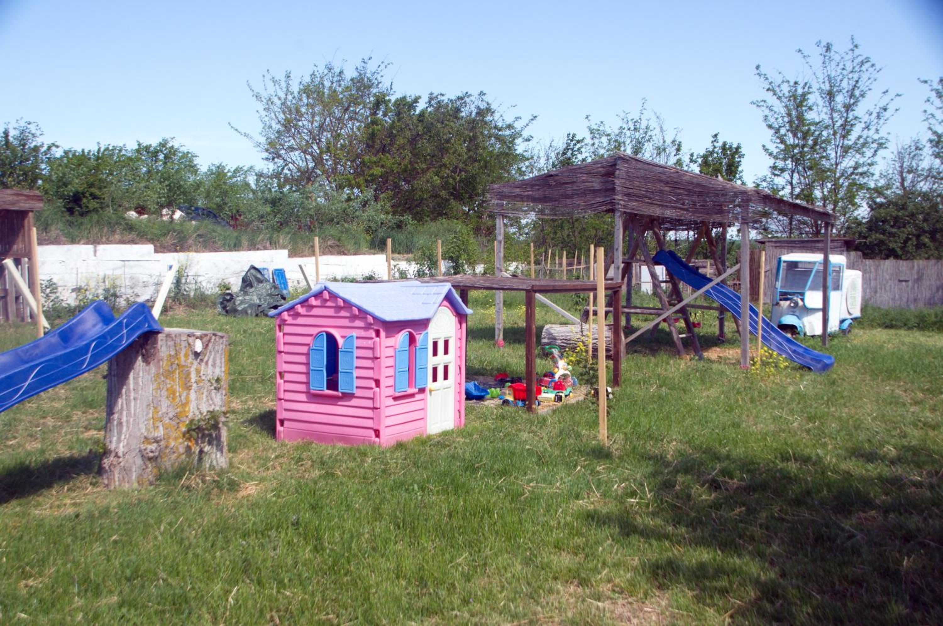 Photo 42