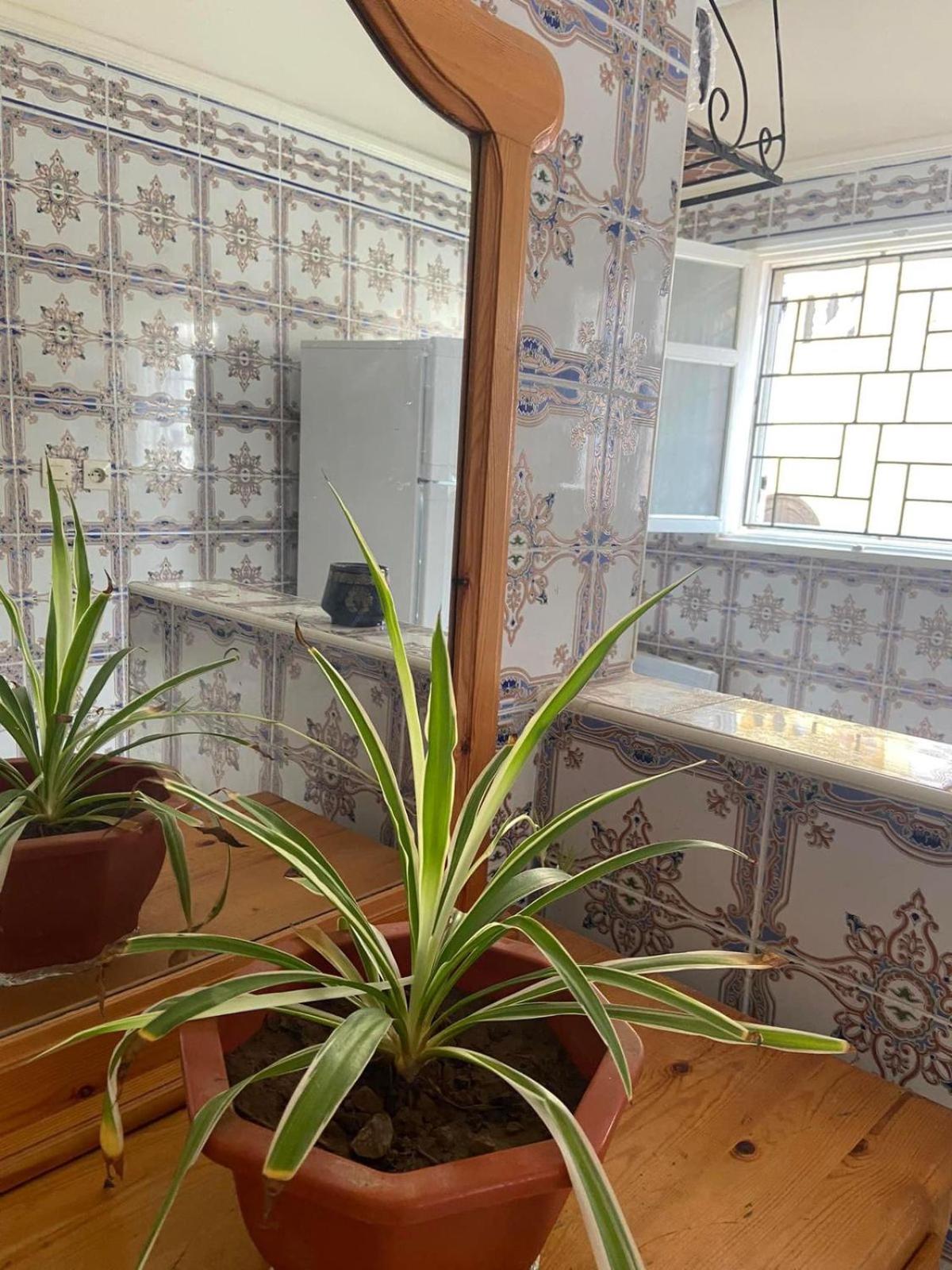 Appartement Aglou plage tourisme view 2