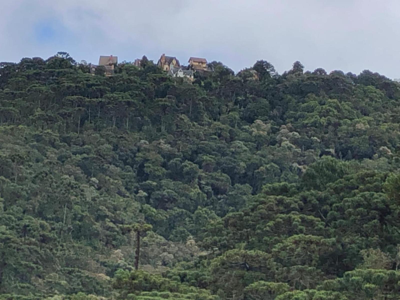 Casa flores do campo