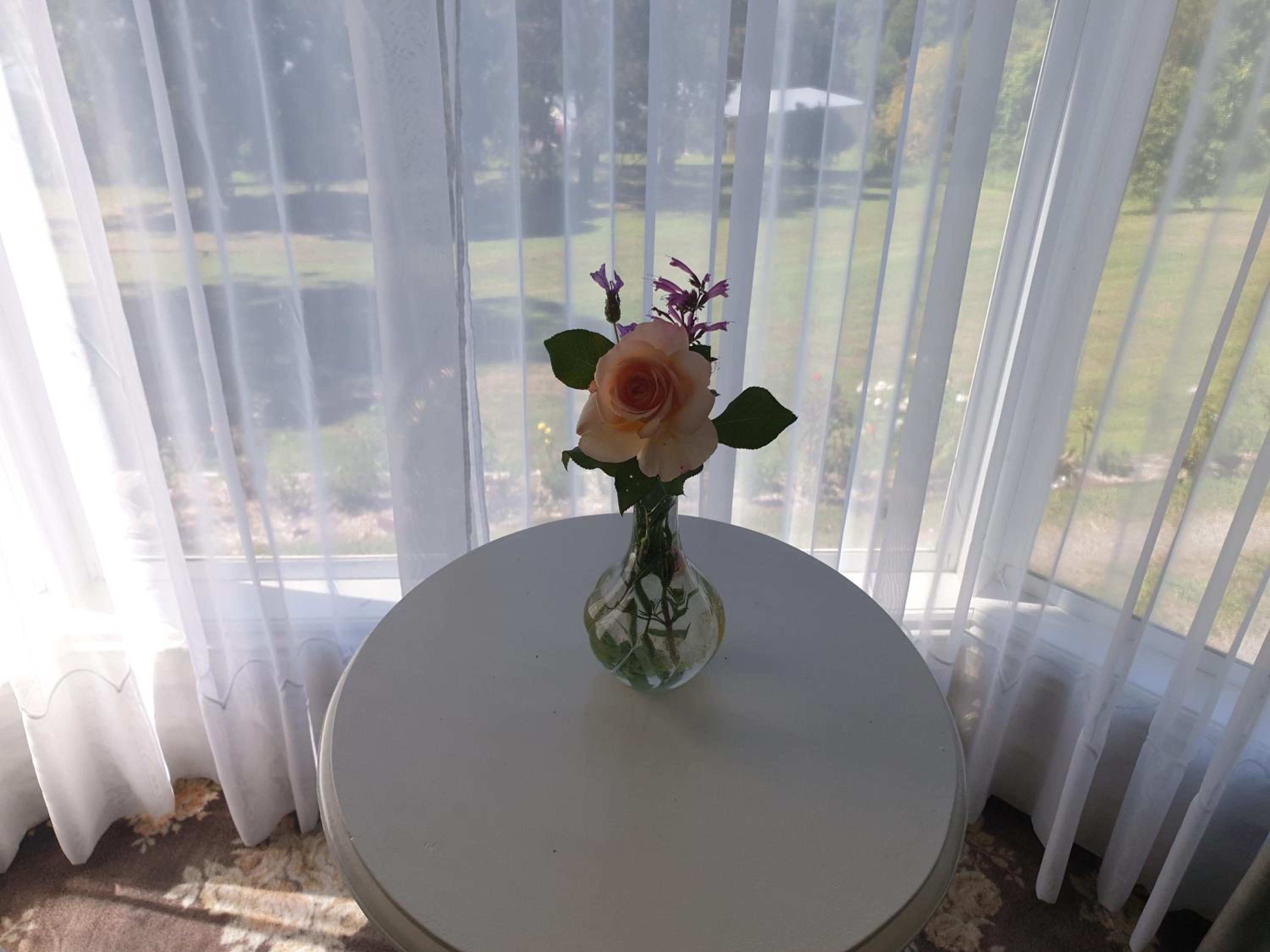 Rosebank Guesthouse