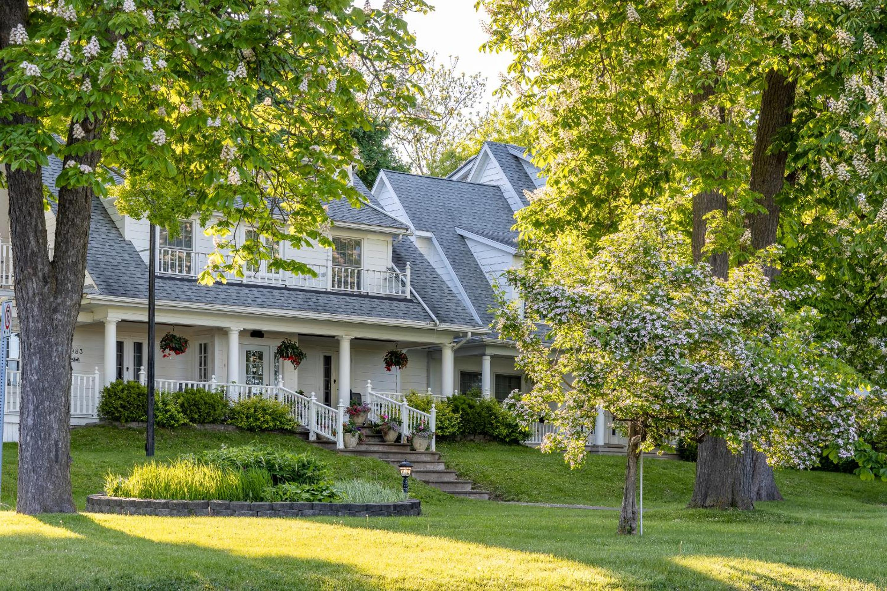 Chestnut Inn