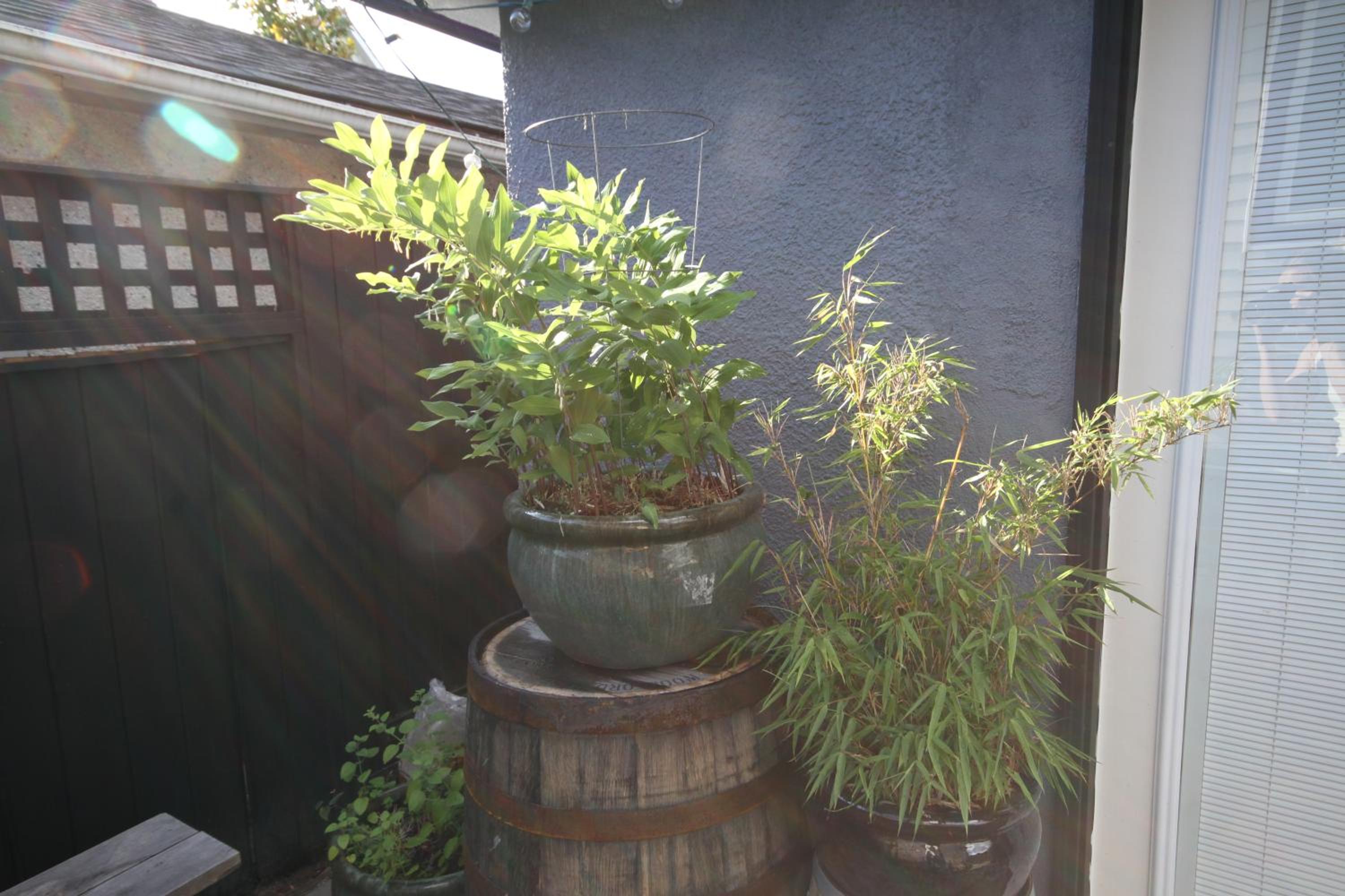 The Orange Door Bungalow- 2-BR w private yard, walkable to cafes & restaurants, 10 min to DT
