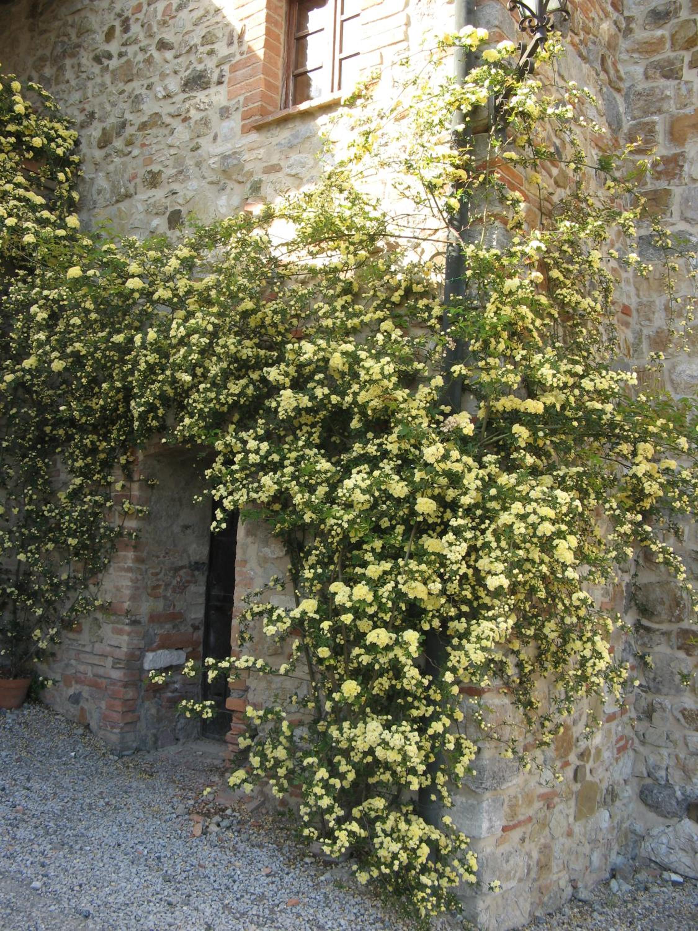 Sant'Antonio view 4