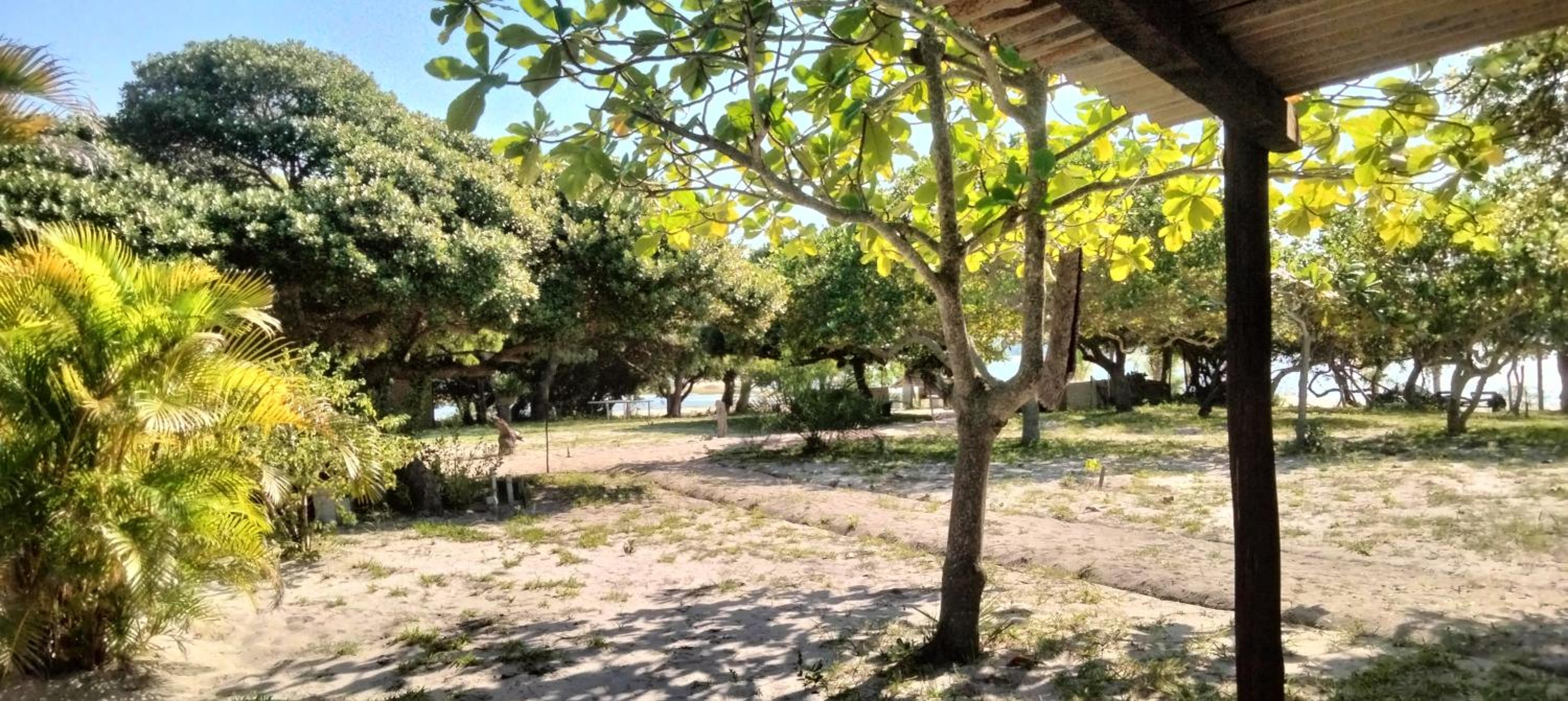 Shongili Island Lodge