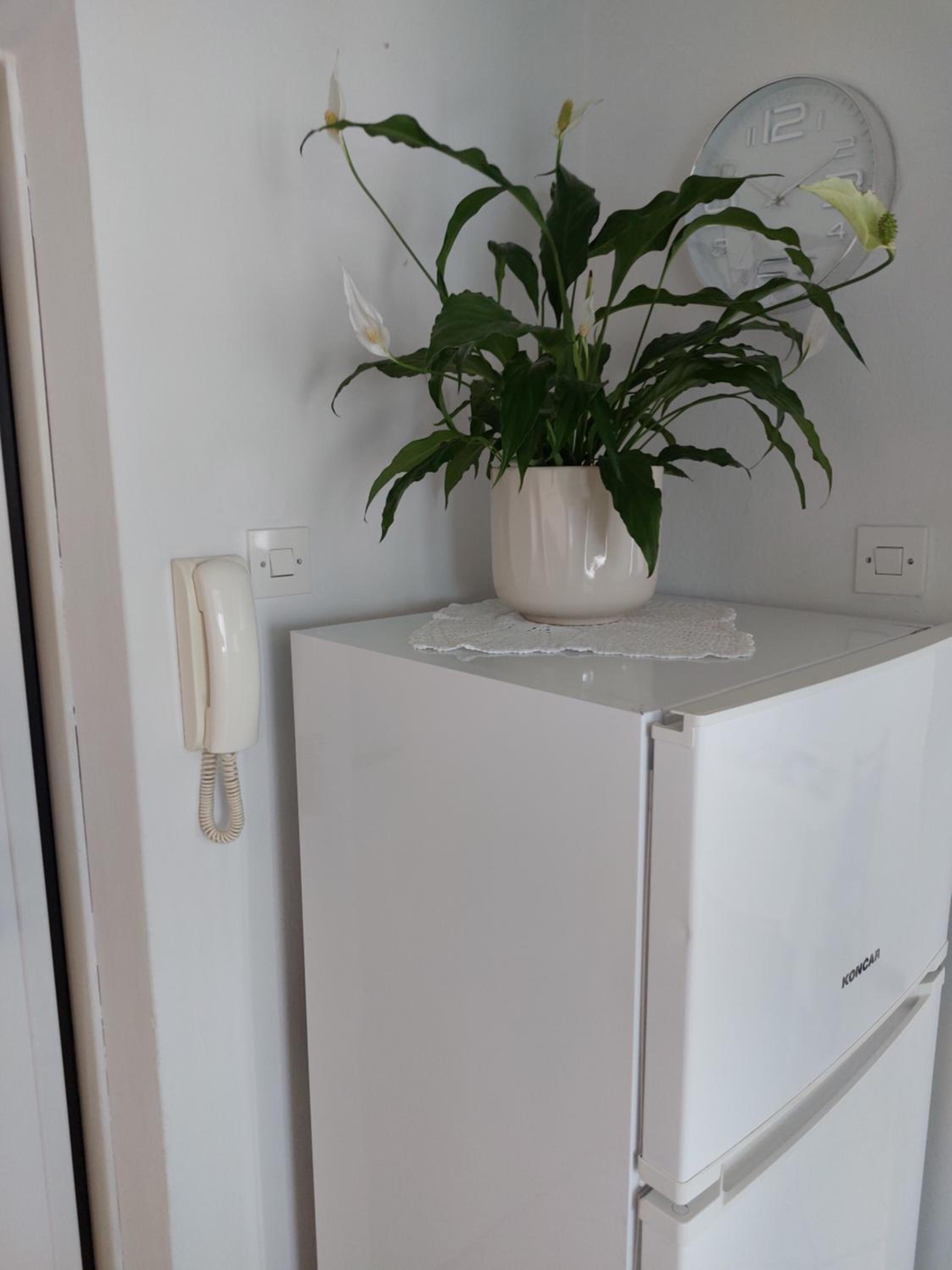 Apartman Bella Vista