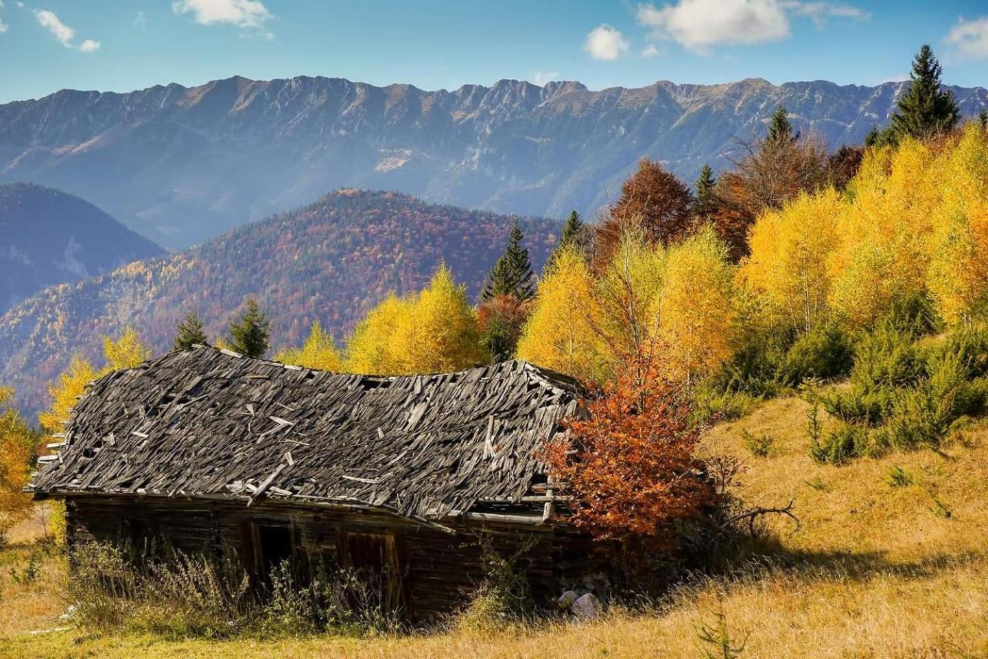 Chalet Betleem