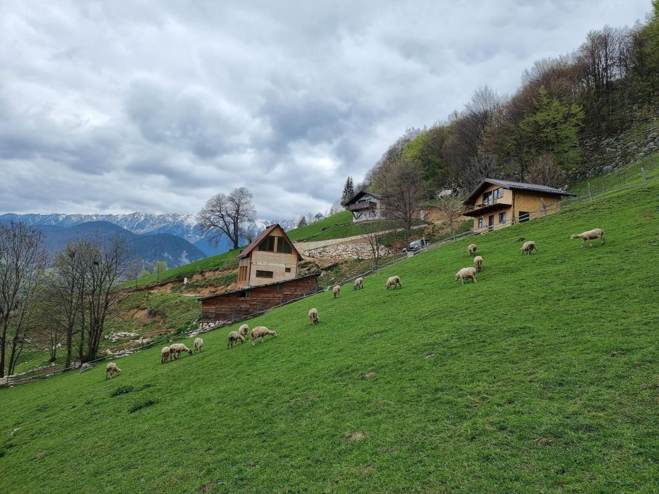 Chalet Betleem