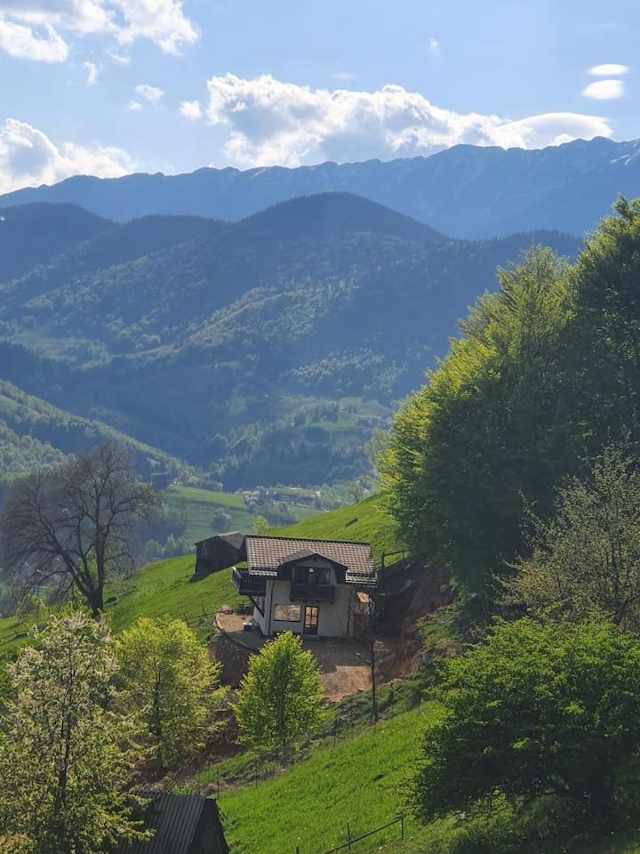 Chalet Betleem