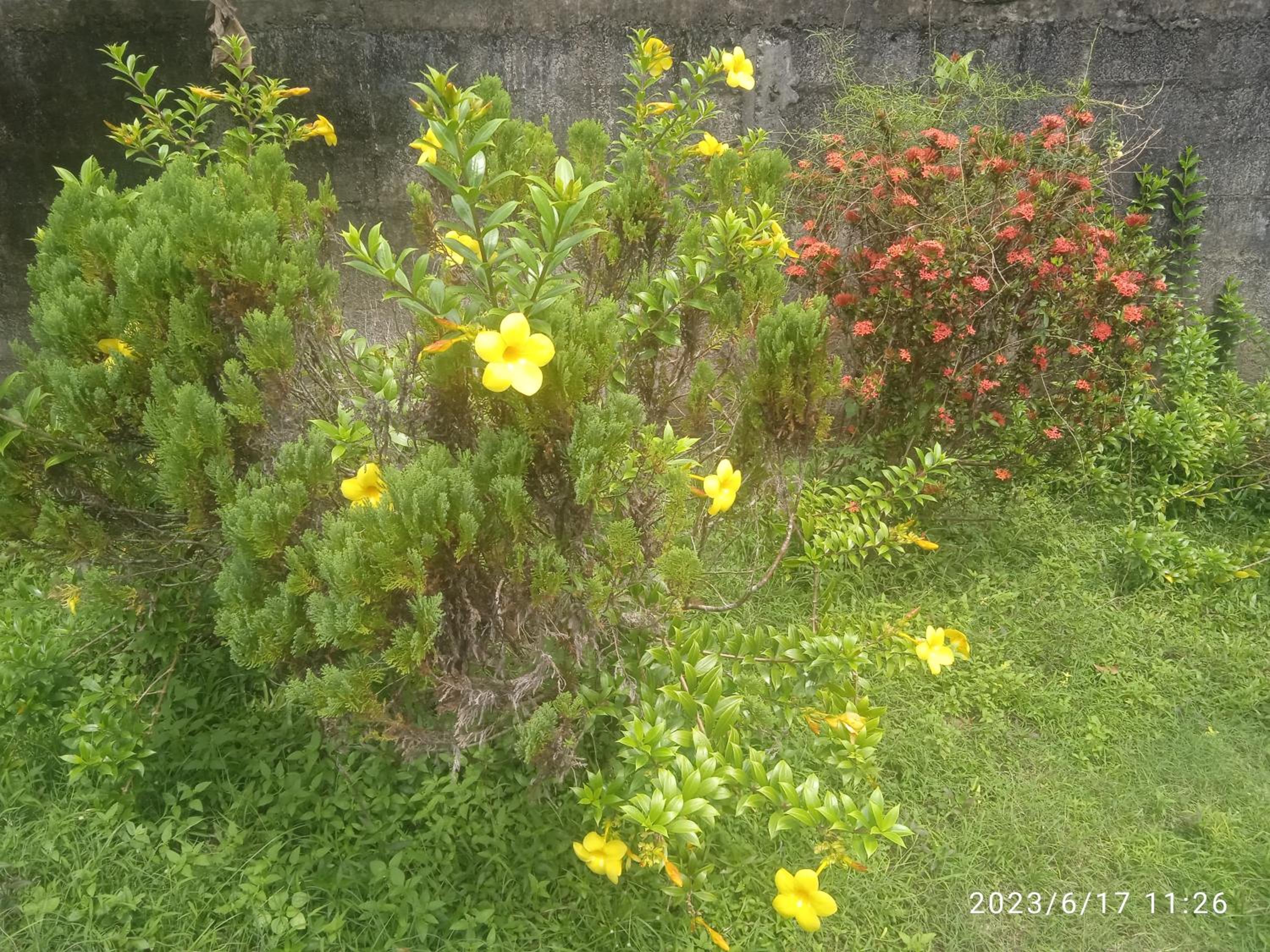 Photo 17