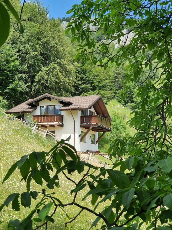 Chalet Betleem