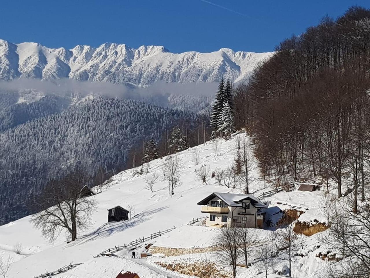 Chalet Betleem