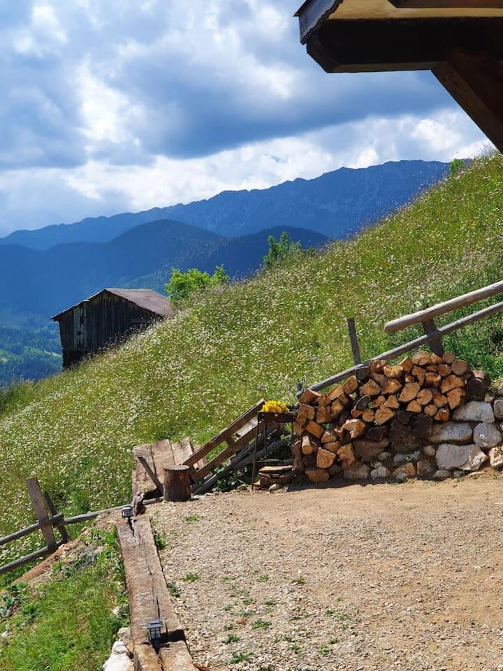 Chalet Betleem