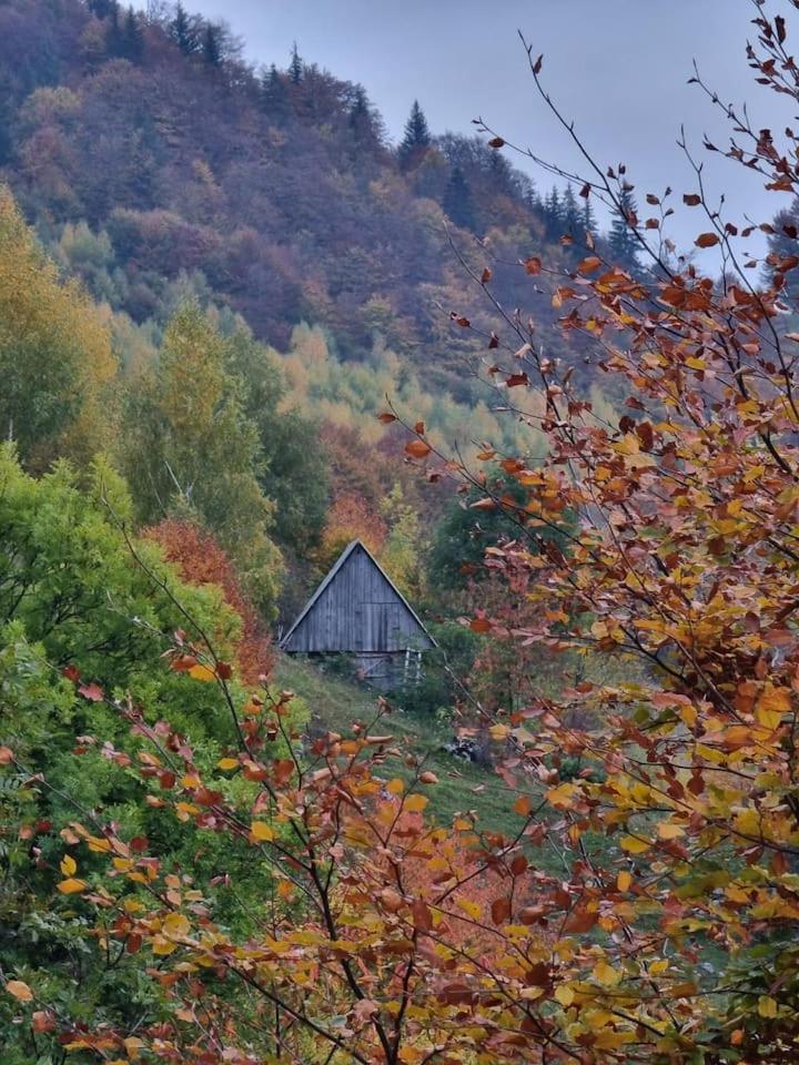 Chalet Betleem