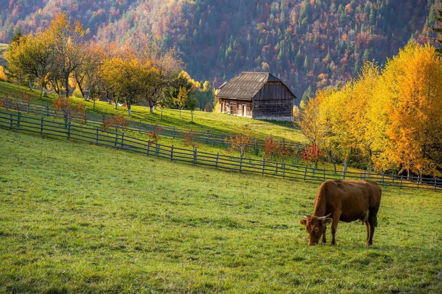 Chalet Betleem