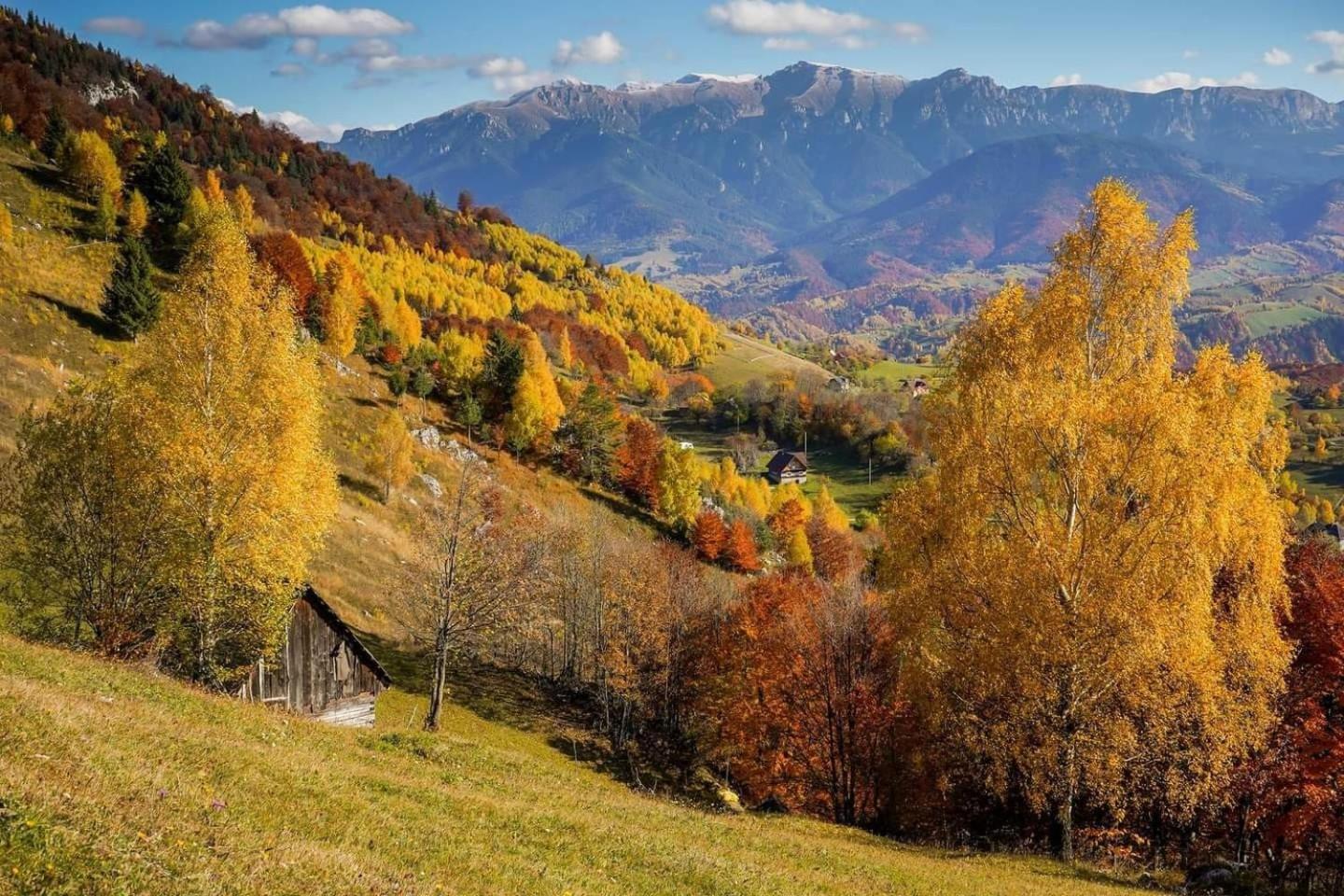 Chalet Betleem