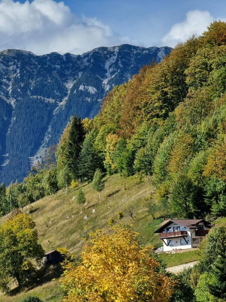 Chalet Betleem