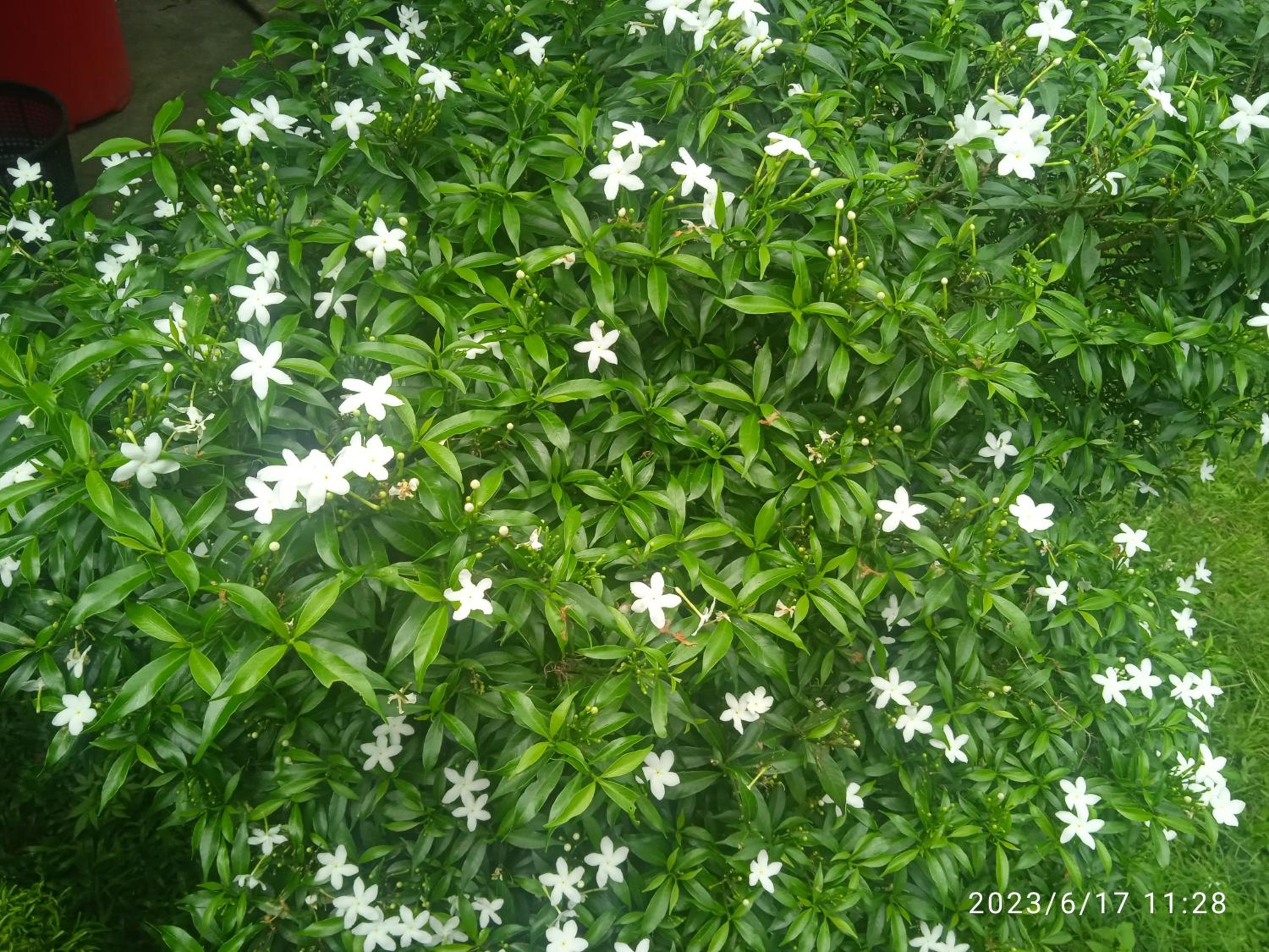 Photo 14