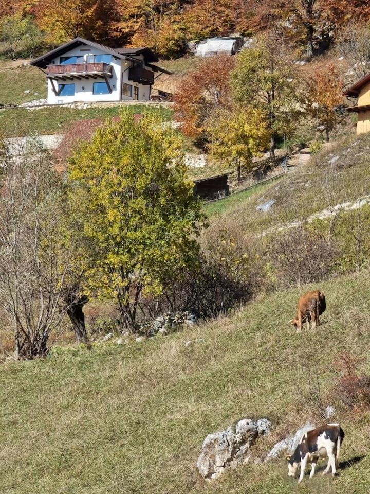 Chalet Betleem