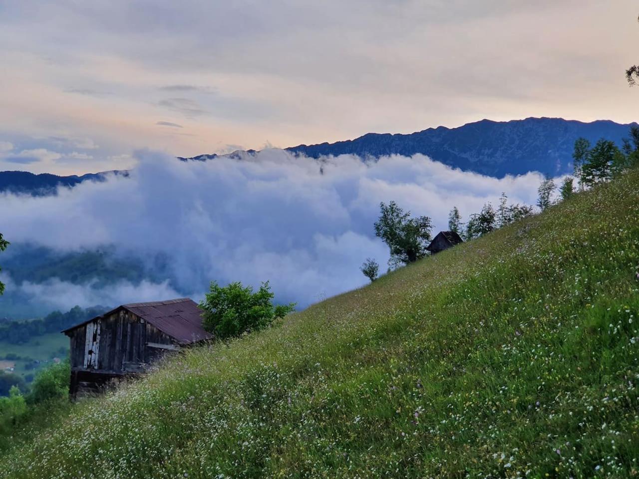 Chalet Betleem