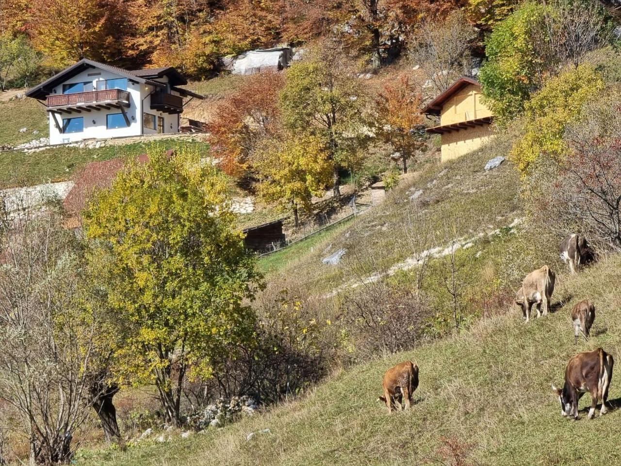 Chalet Betleem
