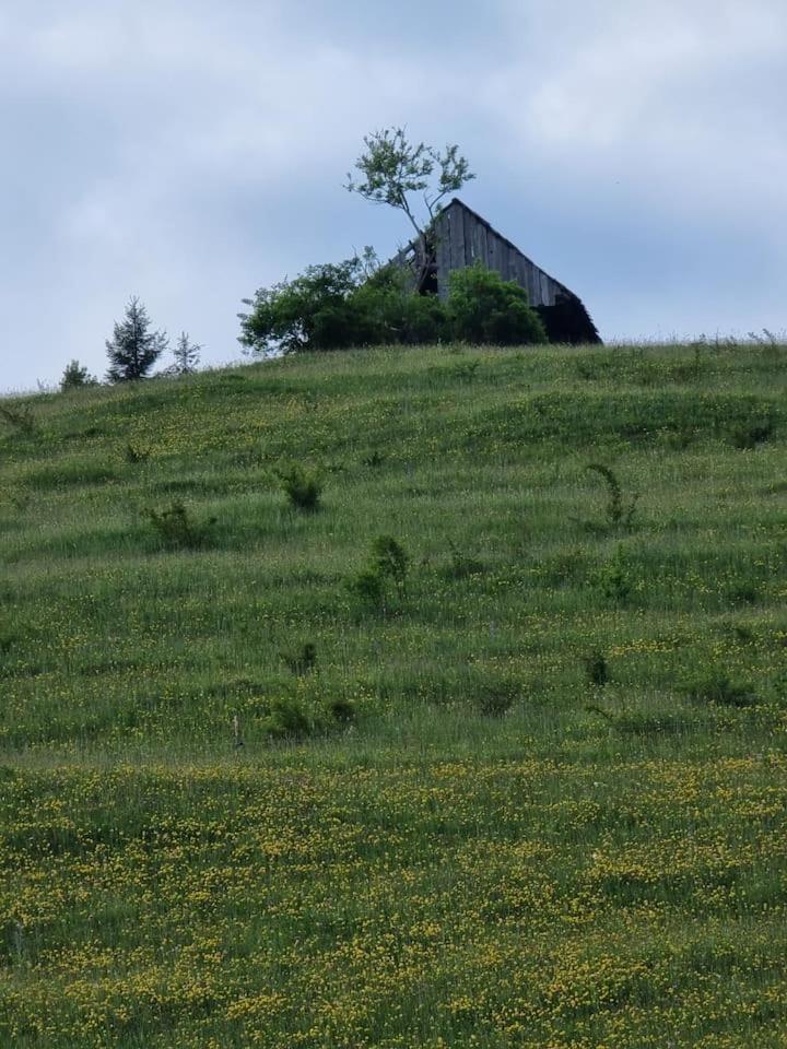 Chalet Betleem