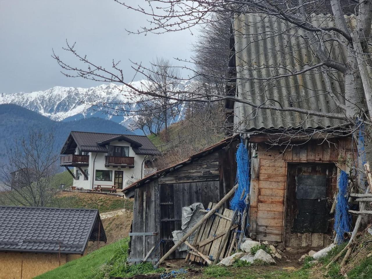 Chalet Betleem