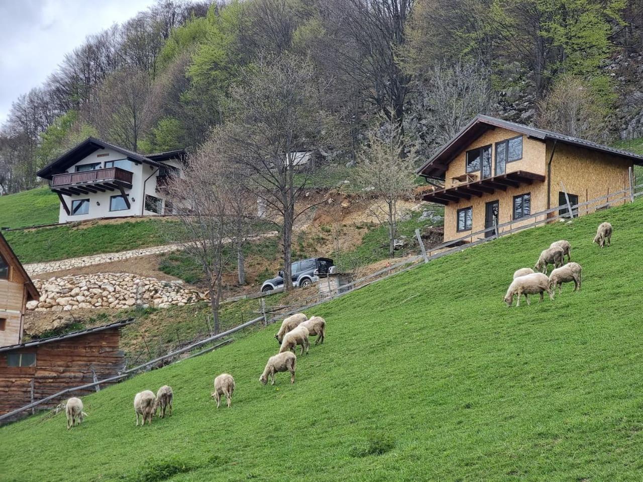 Chalet Betleem