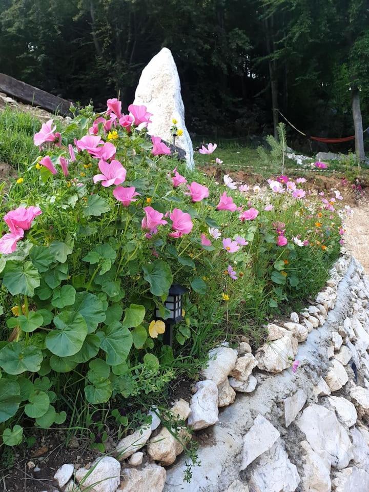 Chalet Betleem