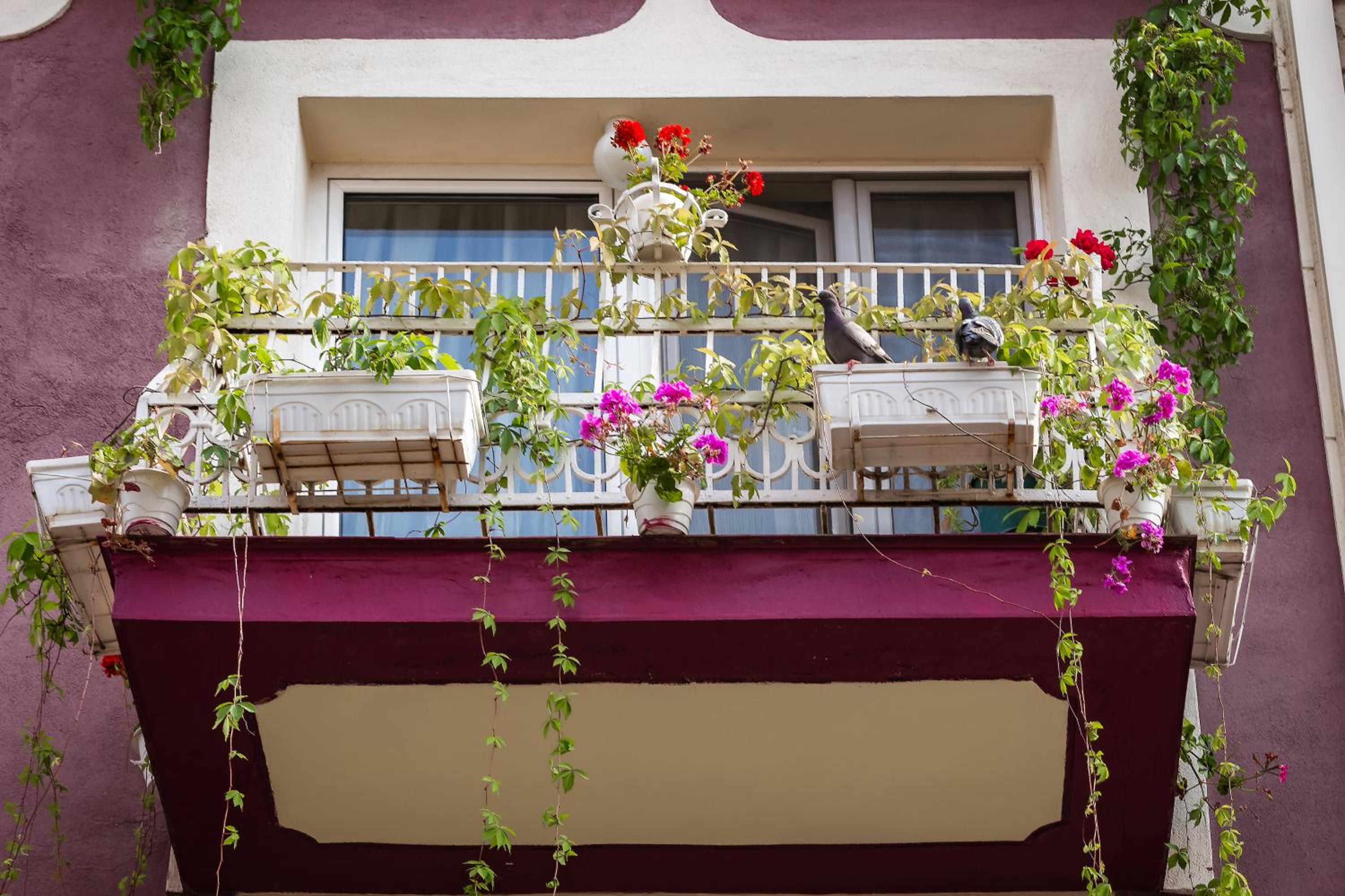 Residence Art Guest House