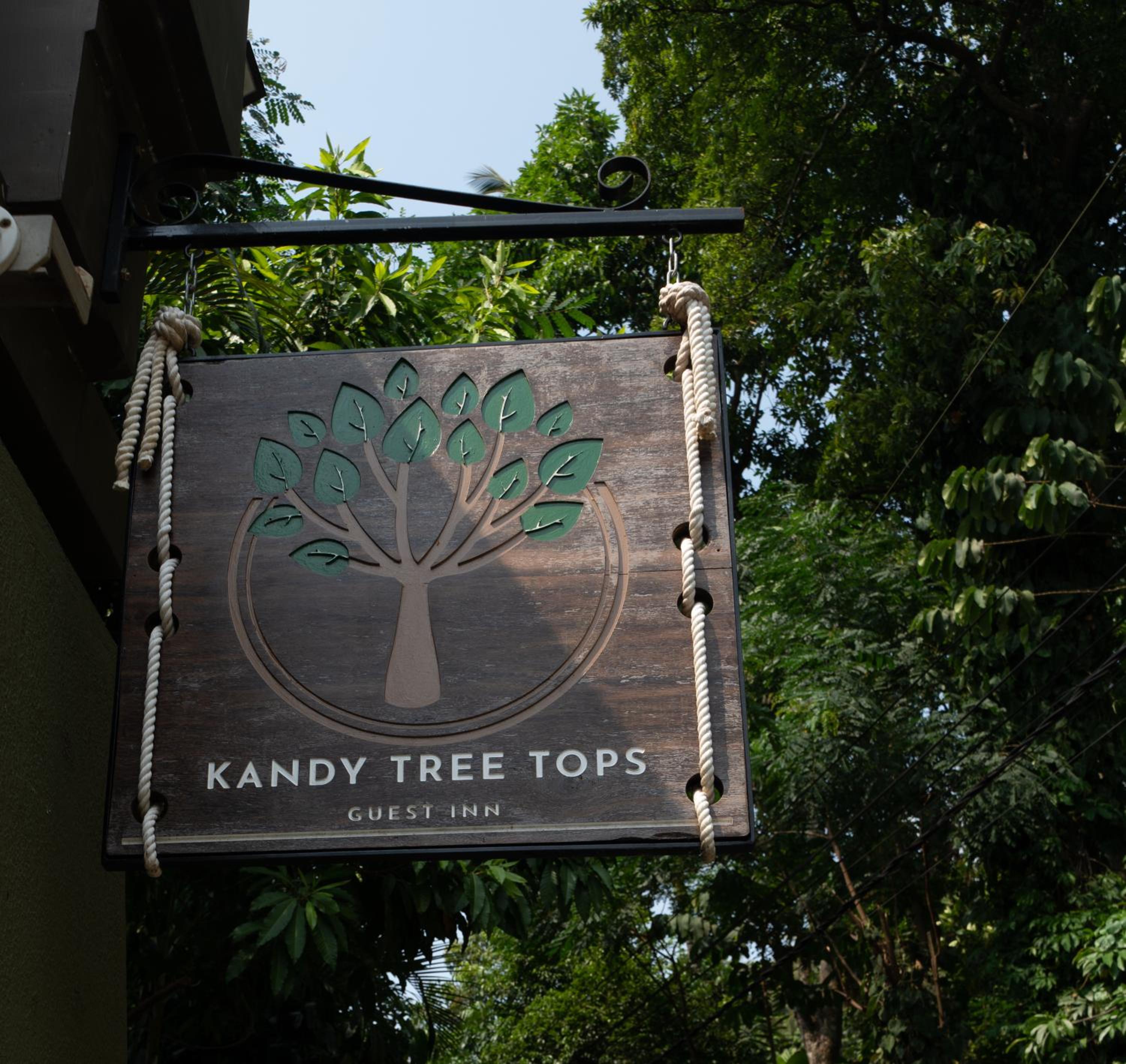 Kandy Tree Tops