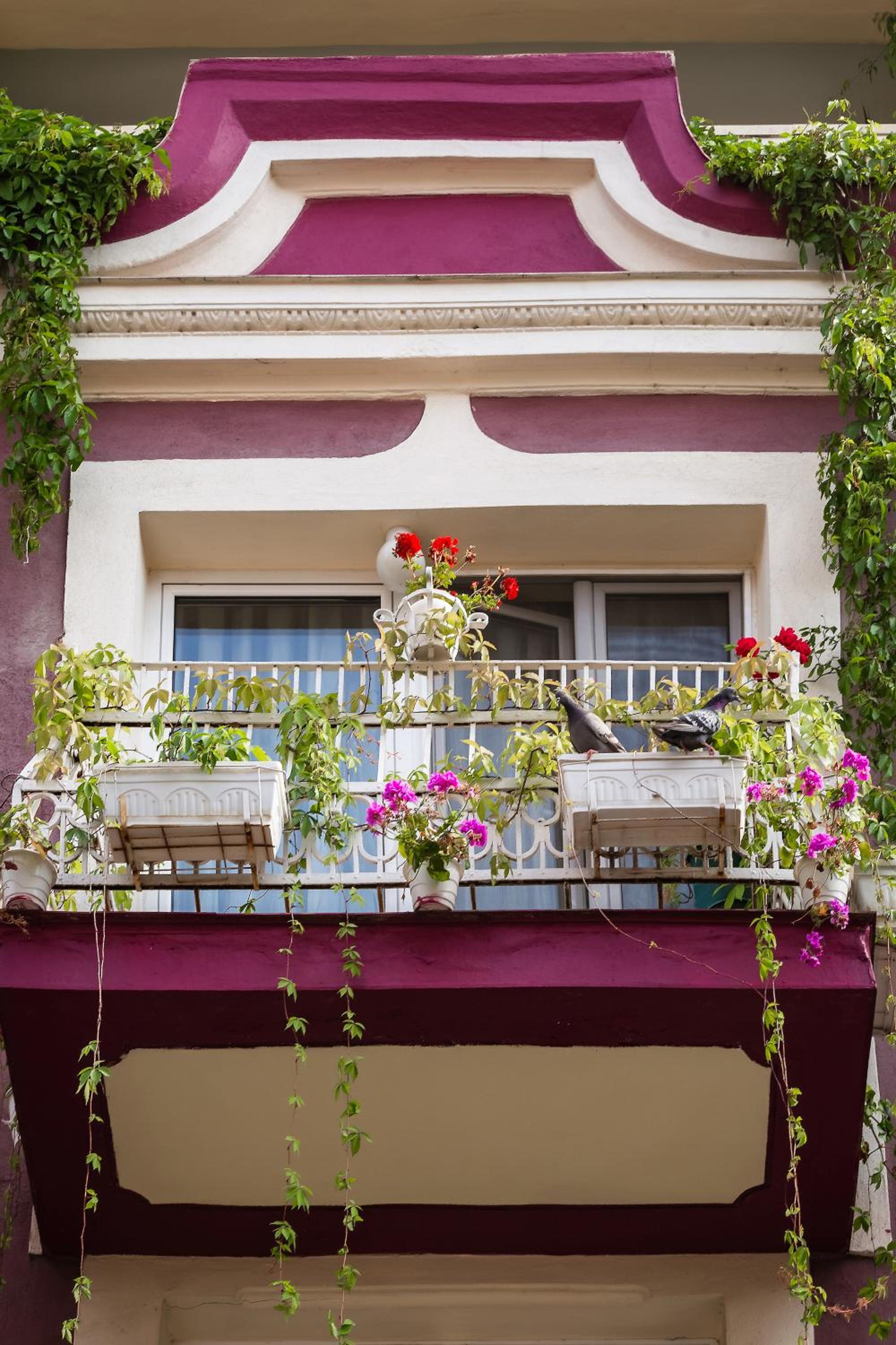 Residence Art Guest House