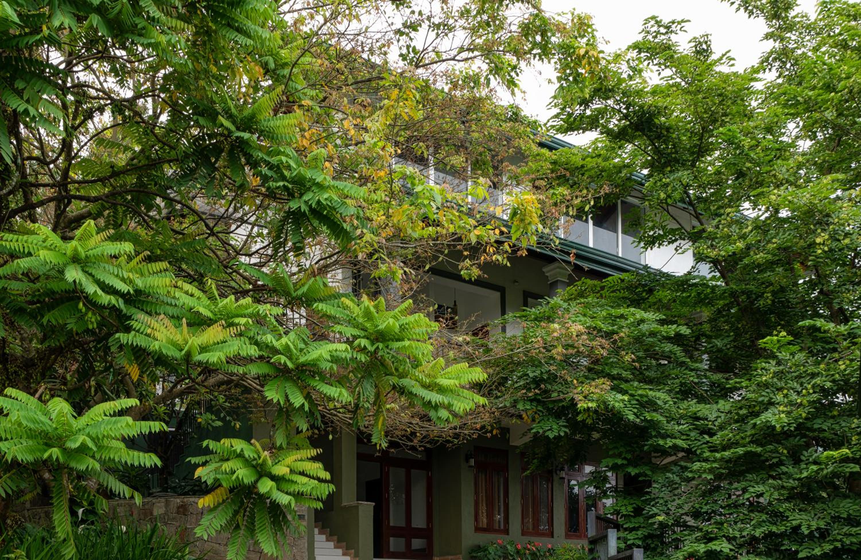 Kandy Tree Tops