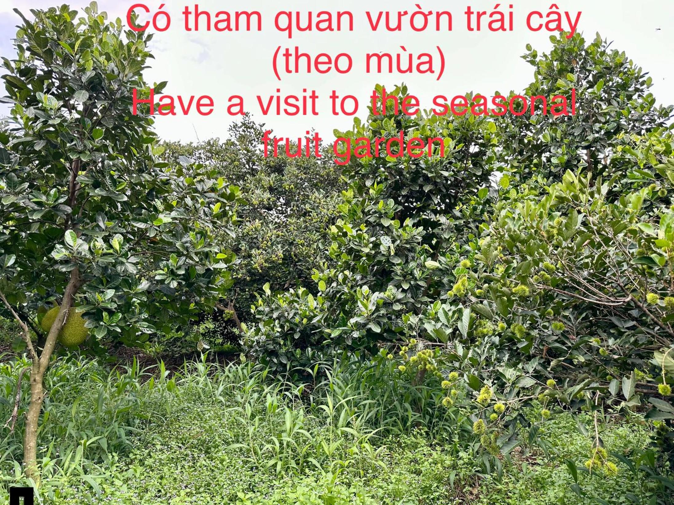Bến Hồ Homestay view 2