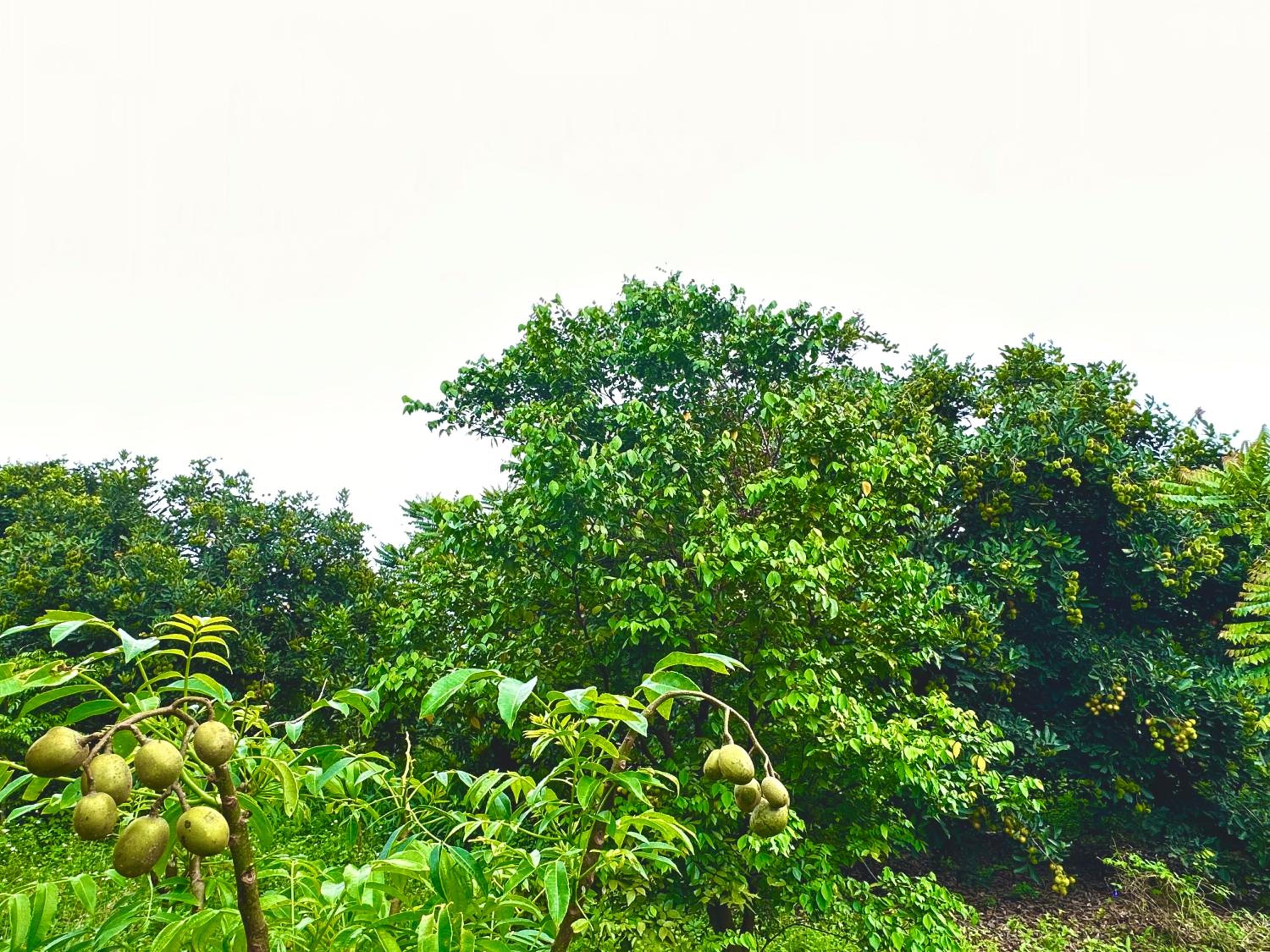 Bến Hồ Homestay view 3