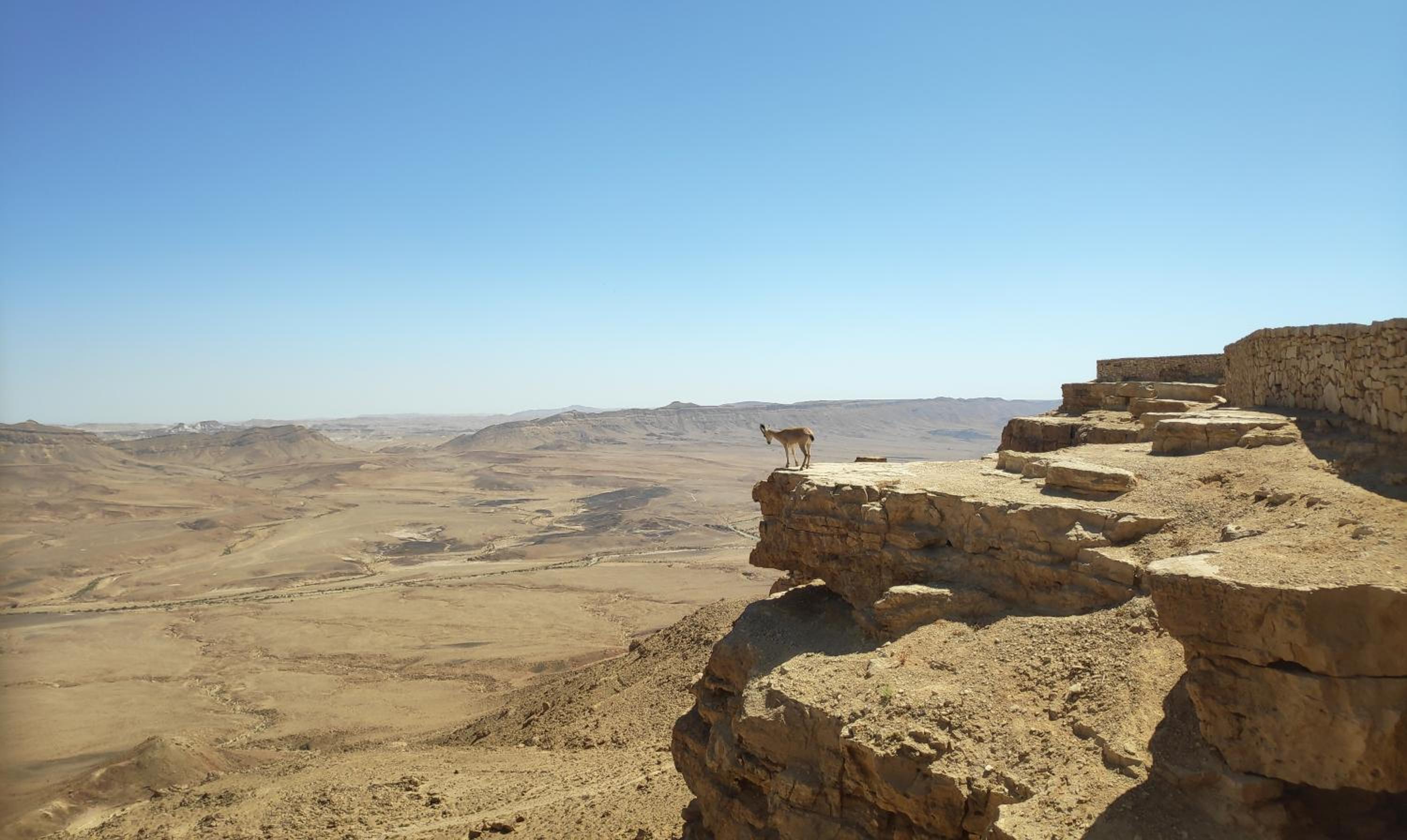 Desert Breeze, photo 11