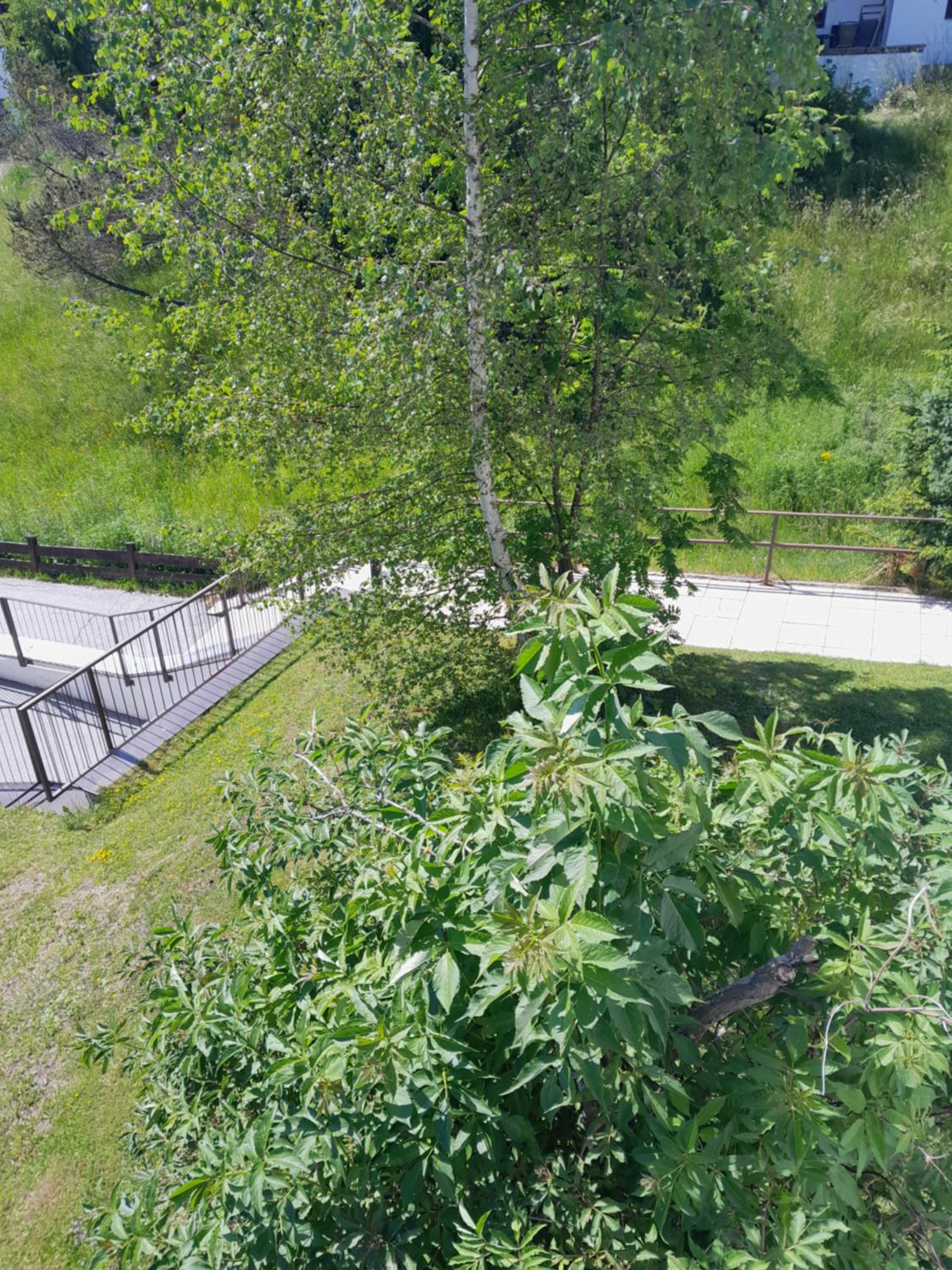 Apartmenthaus Panorama
